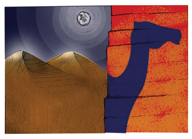 México y el Sahara Occidental