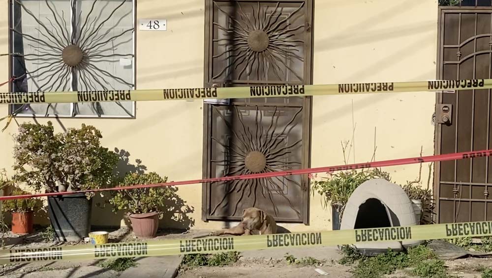 El peor país para ejercer el oficio más bello del mundo