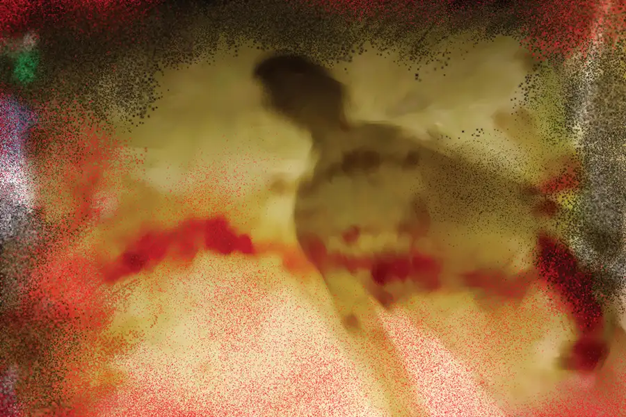 Hamás y sus “críticos”