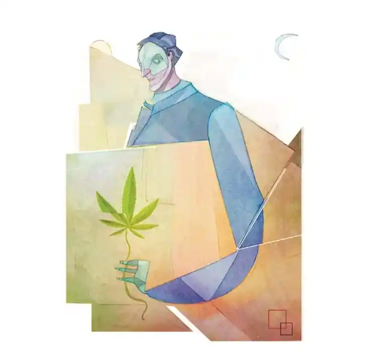 Tramité mi permiso de cannabis y me lo negaron. Esto fue lo que pasó