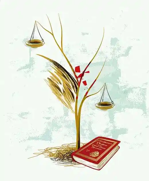 Sobre la relación de la academia con la judicatura. Una visión empírica