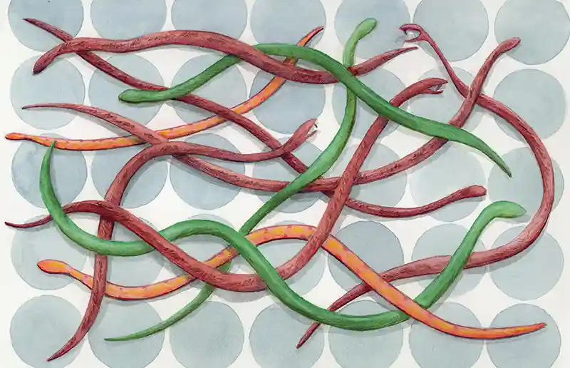 Sobre el cambio político y la degradación moral