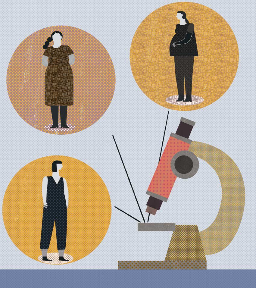 ¿La SCJN contra Sheinbaum?